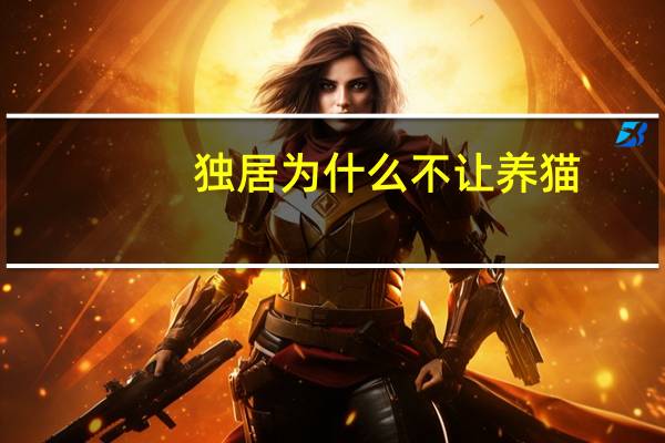 独居为什么不让养猫