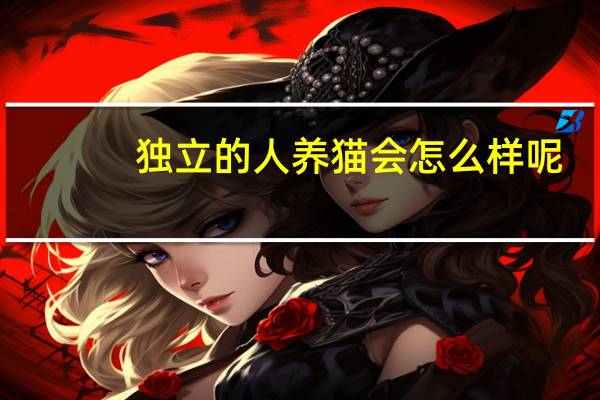 独立的人养猫会怎么样呢