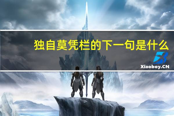 独自莫凭栏的下一句是什么