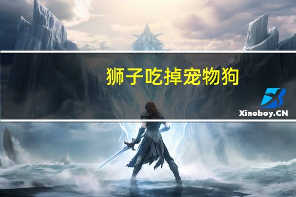 狮子吃掉宠物狗