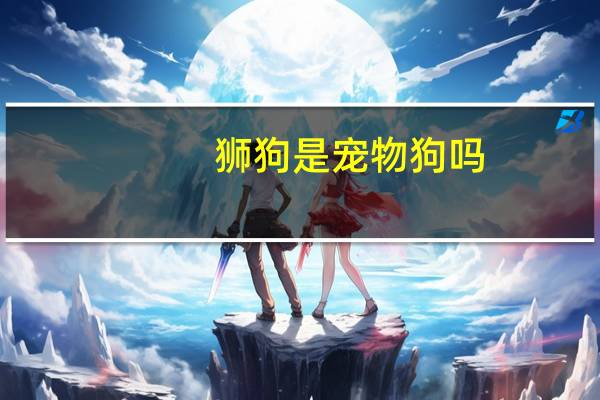 狮狗是宠物狗吗