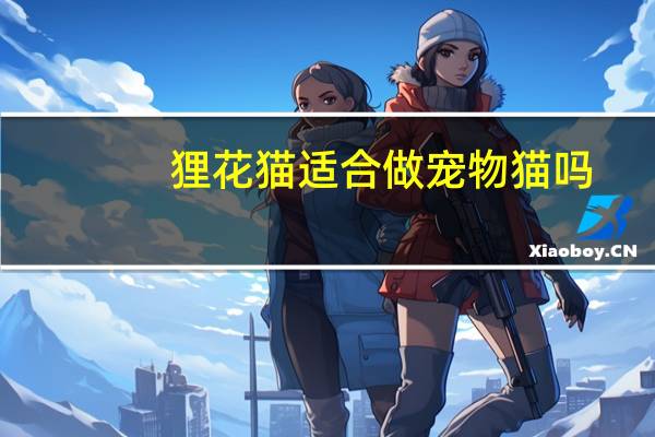 狸花猫适合做宠物猫吗