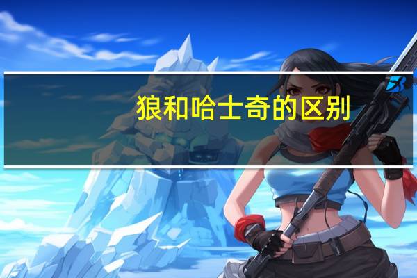 狼和哈士奇的区别