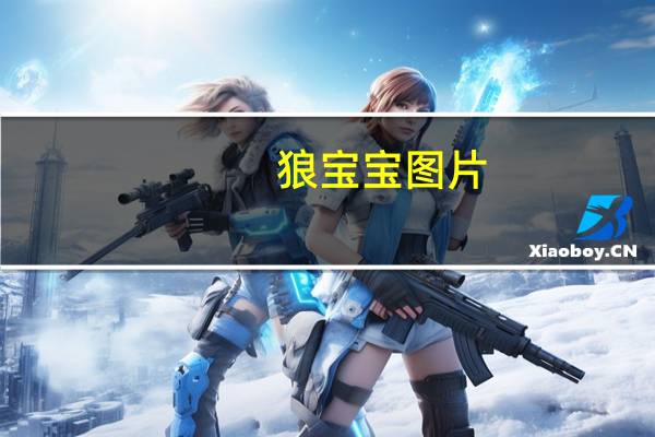 狼宝宝图片（狼宝）