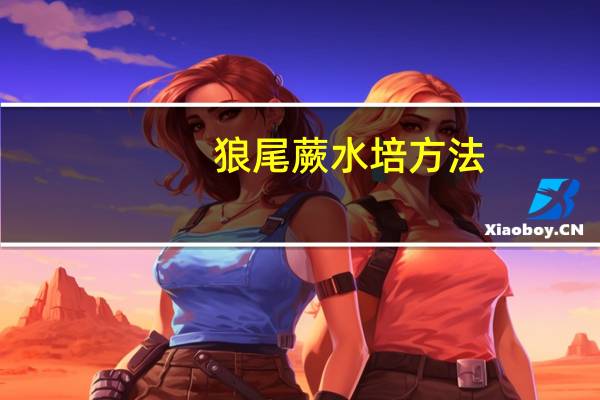 狼尾蕨水培方法