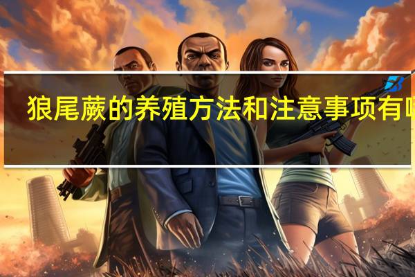 狼尾蕨的养殖方法和注意事项有哪些