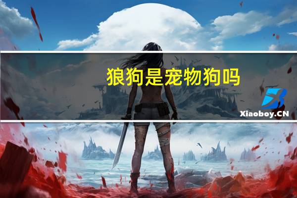狼狗是宠物狗吗
