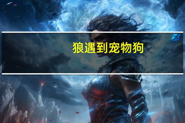 狼遇到宠物狗