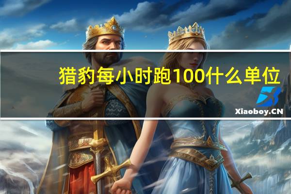猎豹每小时跑100什么单位