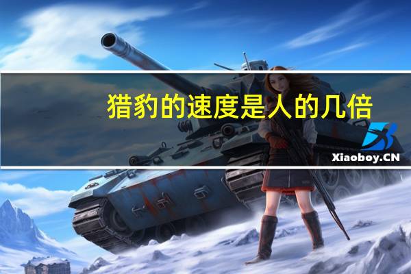 猎豹的速度是人的几倍（猎豹的速度）