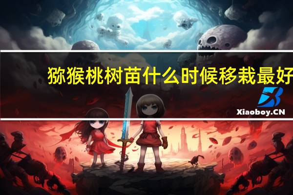 猕猴桃树苗什么时候移栽最好