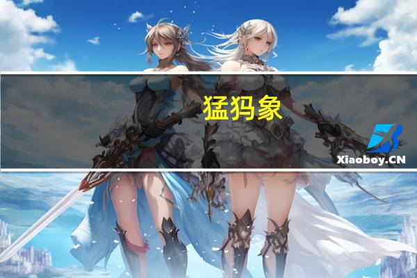 猛犸象（猛买网）