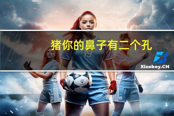 猪你的鼻子有二个孔,这是什么歌（猪 你的鼻子有两个孔 这是什么歌）