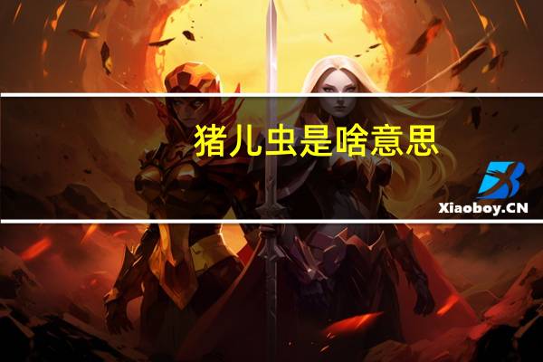 猪儿虫是啥意思