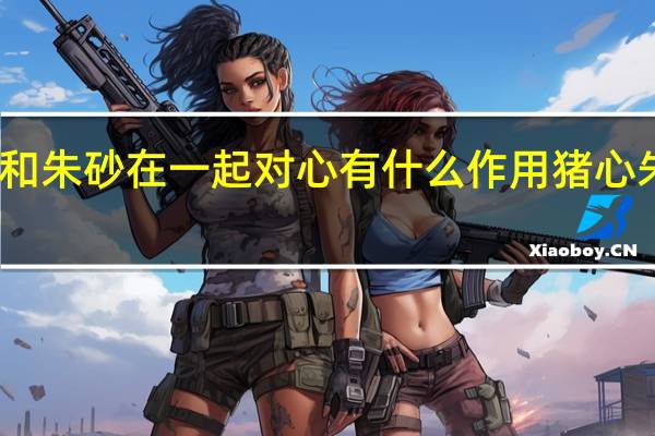 猪心和朱砂在一起对心有什么作用 猪心朱砂的功效