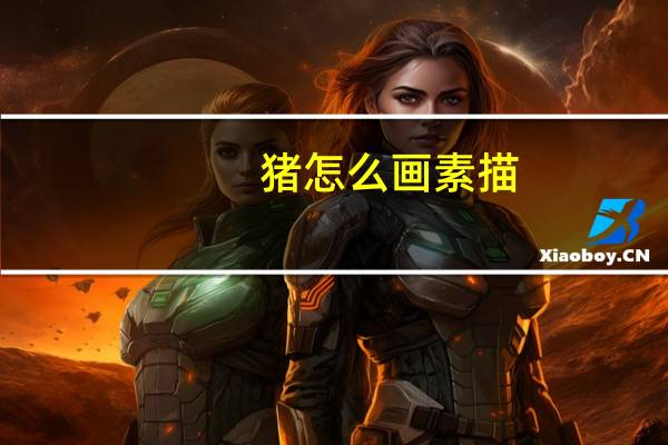 猪怎么画素描（猪怎么画）