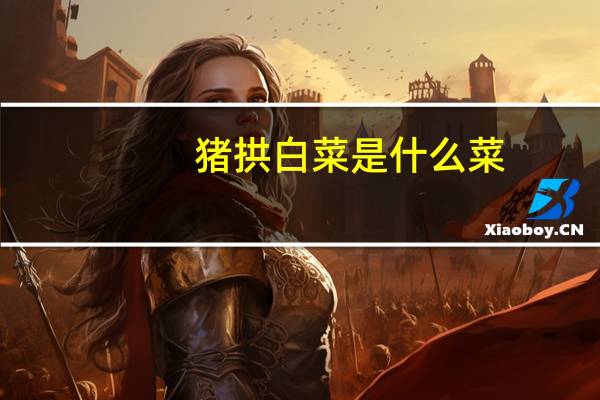 猪拱白菜是什么菜（猪拱白菜什么意思）
