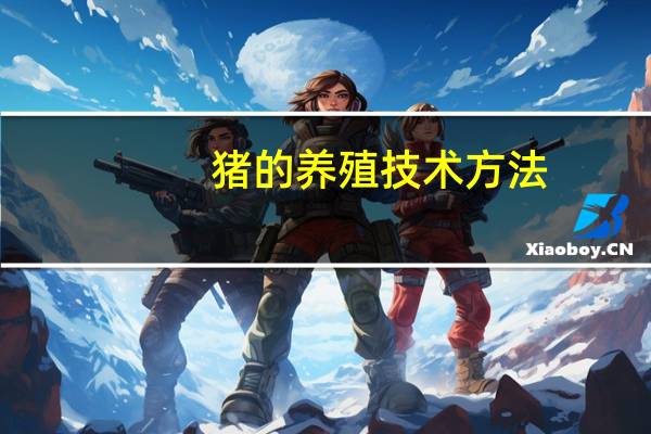 猪的养殖技术方法