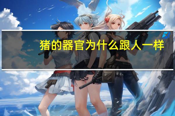 猪的器官为什么跟人一样