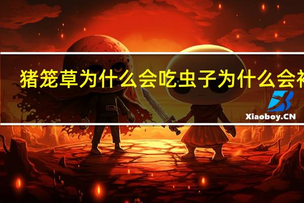 猪笼草为什么会吃虫子为什么会补充（猪笼草为什么会吃虫子）