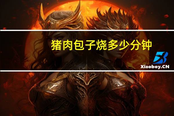 猪肉包子烧多少分钟