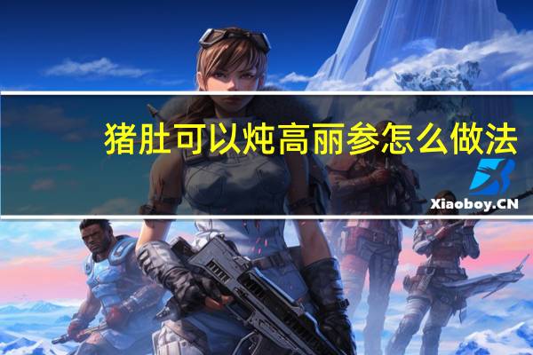 猪肚可以炖高丽参怎么做法
