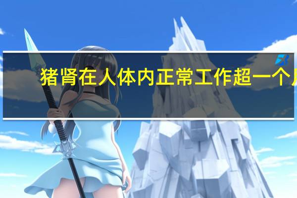 猪肾在人体内正常工作超一个月