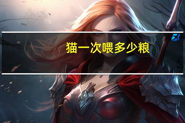 猫一次喂多少粮