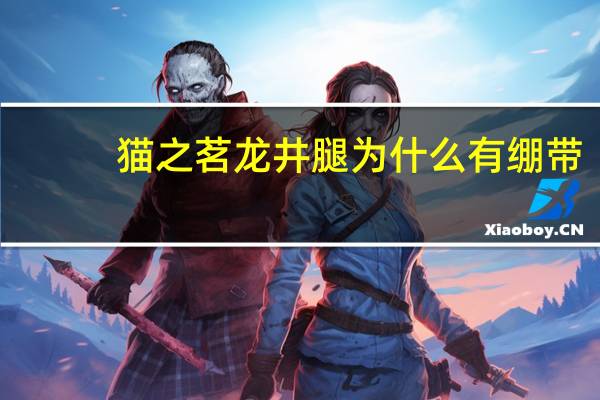猫之茗龙井腿为什么有绷带