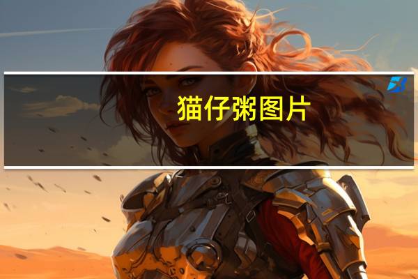 猫仔粥图片(猫仔粥)