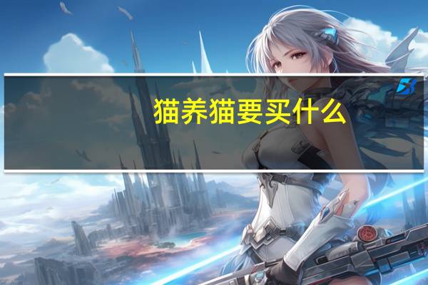 猫养猫要买什么