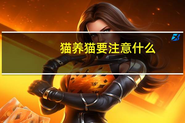 猫养猫要注意什么