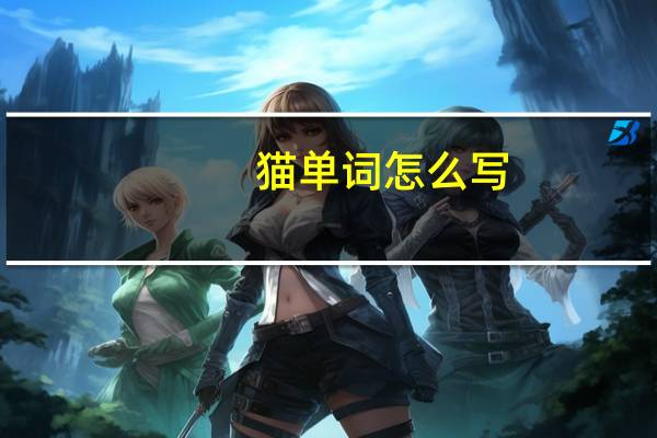 猫单词怎么写