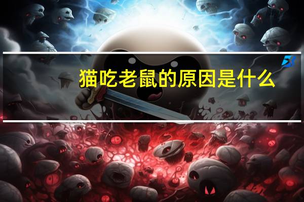 猫吃老鼠的原因是什么