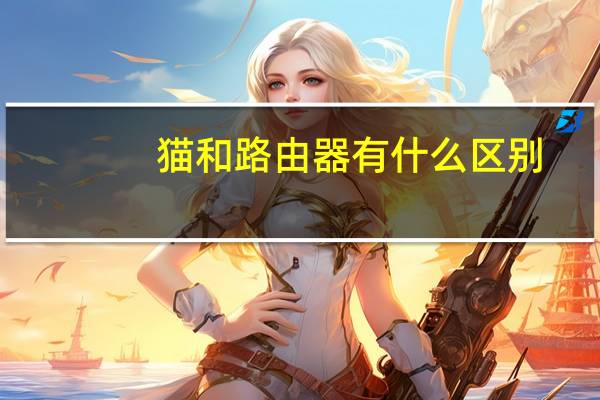 猫和路由器有什么区别（猫和路由器）