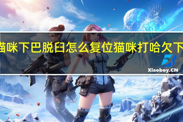 猫咪下巴脱臼怎么复位 猫咪打哈欠下巴脱臼