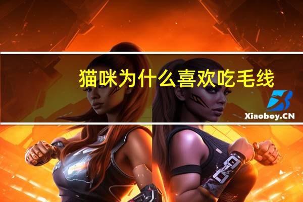 猫咪为什么喜欢吃毛线