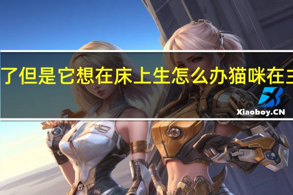 猫咪快生了但是它想在床上生怎么办 猫咪在主人床上生宝宝
