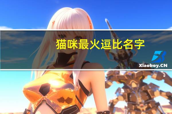 猫咪最火逗比名字