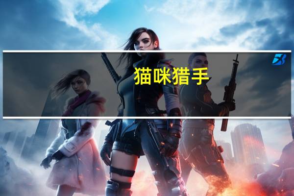 猫咪猎手（关于猫咪猎手的介绍）