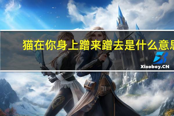 猫在你身上蹭来蹭去是什么意思（蹭来蹭去是什么意思）