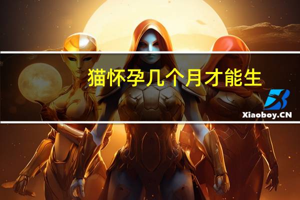 猫怀孕几个月才能生