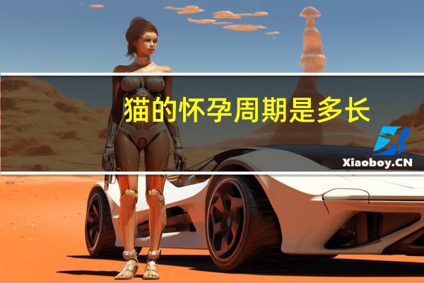 猫的怀孕周期是多长