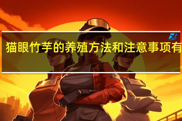 猫眼竹芋的养殖方法和注意事项有哪些