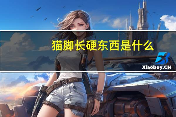 猫脚长硬东西是什么