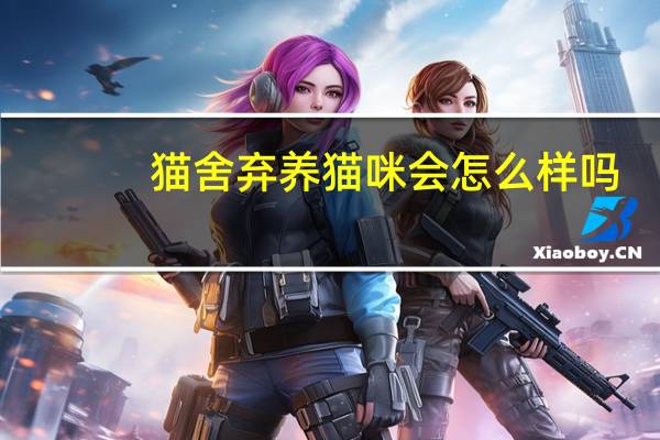 猫舍弃养猫咪会怎么样吗
