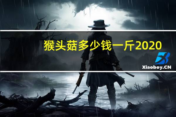 猴头菇多少钱一斤2020（猴头菇的价格是多少钱一斤）