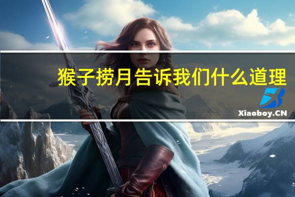 猴子捞月告诉我们什么道理