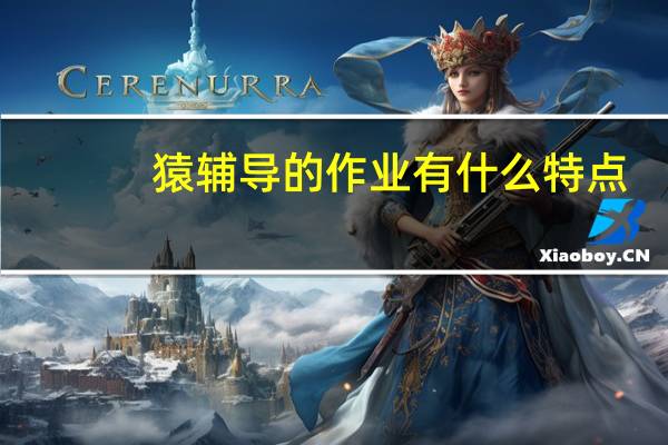 猿辅导的作业有什么特点