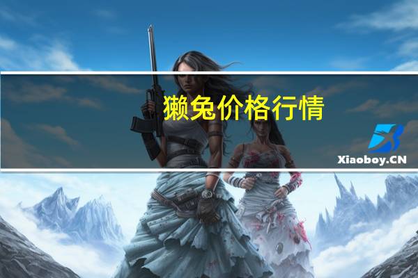 獭兔价格行情（獭兔价钱）